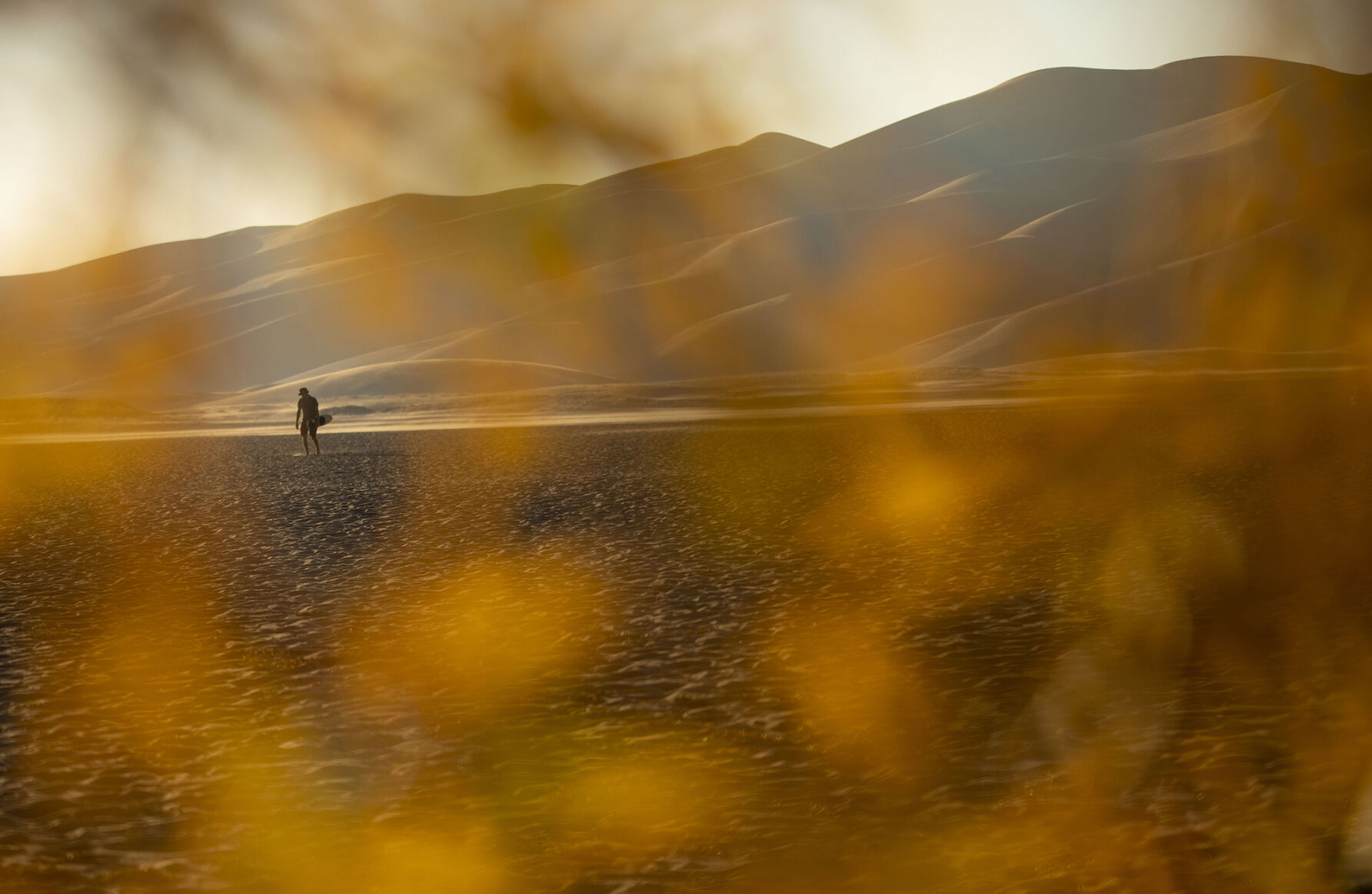 093020-news-colorsfall 01.jpg